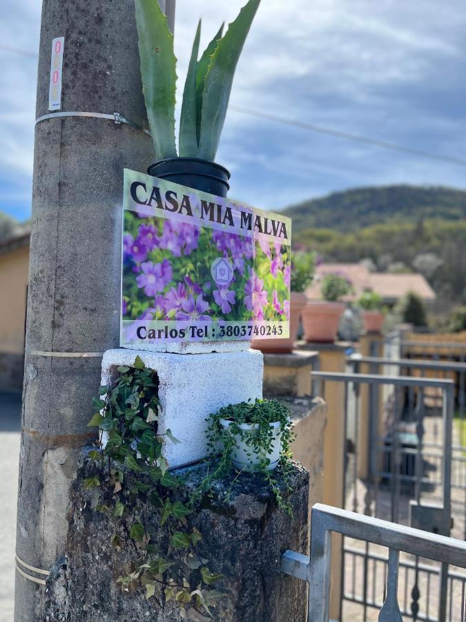 Casa Mia Malva Apartment Ricco del Golfo di Spezia Bagian luar foto