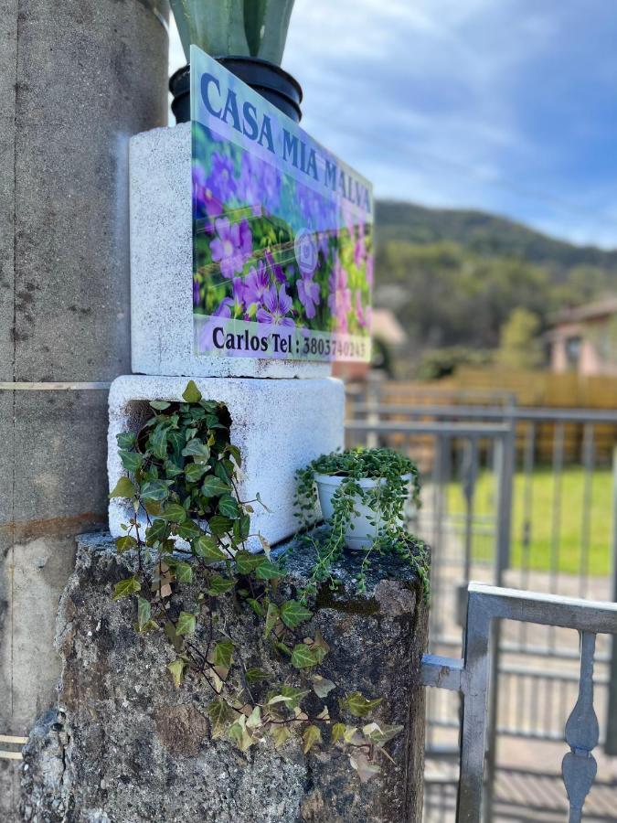 Casa Mia Malva Apartment Ricco del Golfo di Spezia Bagian luar foto