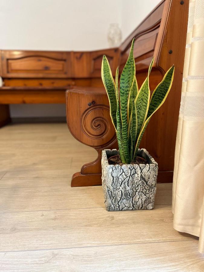 Casa Mia Malva Apartment Ricco del Golfo di Spezia Bagian luar foto